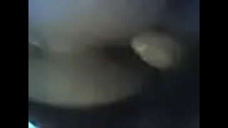 Dame ਪਿਛੋਕੜ-df 2