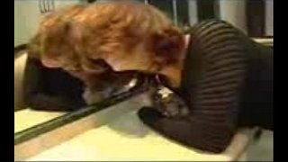 Masturbation ak assfucked