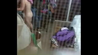 ריגול בוגר argenta