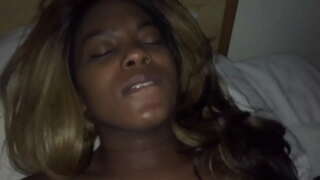 ���ुतिया बिल्ली farted