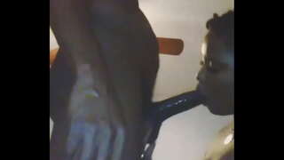 Nada como una perra a la que le encanta chupar la polla